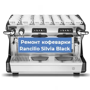 Замена прокладок на кофемашине Rancilio Silvia Black в Ижевске